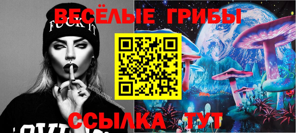 Ишимбай  Псилоцибиновые грибы Psilocybe  Вход с VPN 
